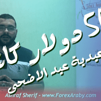 عيدية عيد الاضحى 50 دولار كاش من الفوركس العربى