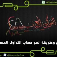 طريقة نمو حساب التداول المصغر