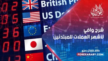 شرح وافي لأشهر العملات للمبتدئين