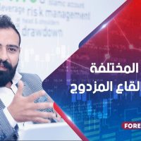 الأشكال المختلفة لنموذج القاع المزدوج