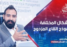 الأشكال المختلفة لنموذج القاع المزدوج