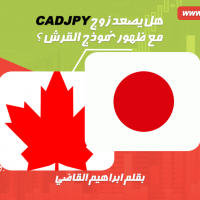هل يصعد زوج الكندي ين مع ظهور نموذج القرش ؟