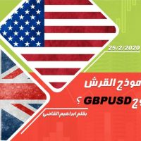 shark