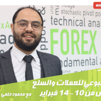 التحليل الأسبوعي للعملات والسلع وأهم الفرص من 10-14 فبراير