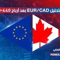 أرباح +440 نقطة
