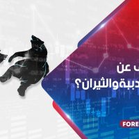 ماذا تعرف عن مصيدة الدببة و الثيران ؟