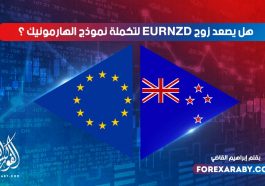 هل يصعد اليورو نيوزيلندي لتكملة نموذج الهارمونيك ؟