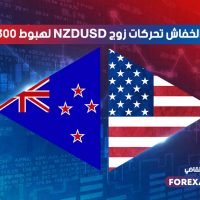 هل يقود الخفاش تحركات زوج NZDUSD لهبوط 300 نقطة؟