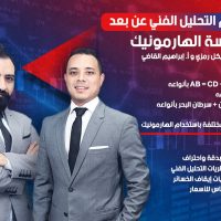 العمل أونلاين