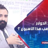 هل يصعد الدولار بجانب الذهب هذا الأسبوع ؟