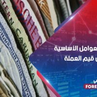 تعرف على العوامل الأساسية التي تؤثر على قيم العملة