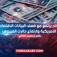 الدولار يرتفع مع ضعف البيانات الاقتصادية الأمريكية وارتفاع حالات الفيروس