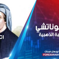 الفيبوناتشي والنسبة الذهبية