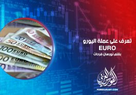 تعرف على عملة اليورو Euro