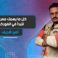 كل ما يهمك معرفته لتبدأ في الفوركس