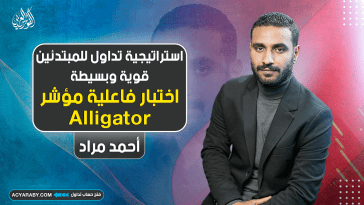 اختبار فاعلية مؤشر Alligator | استراتيجية تداول للمبتدئين قوية وبسيطة