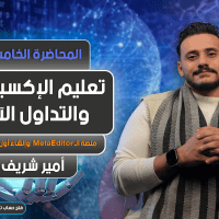 تعليم الإكسبرتات و التداول الآلي | المحاضرة 5 | Expert Advisor