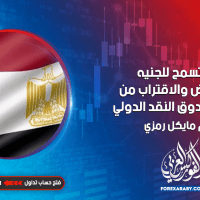 مصر تسمح للجنيه بالانخفاض لتقترب من صفقة صندوق النقد الدولي