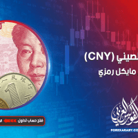 اليوان الصيني (CNY)
