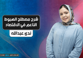 شرح مصطلح الهبوط الناعم في الاقتصاد