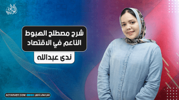 شرح مصطلح الهبوط الناعم في الاقتصاد