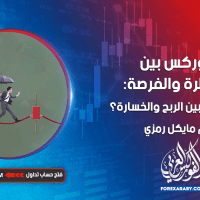 الفوركس بين المخاطرة والفرصة: كيف توازن بين الربح والخسارة؟