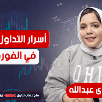 أسرار التداول الناجح في الفوركس