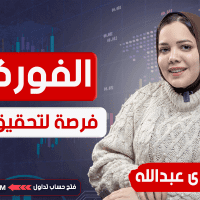 الفوركس: فرصة لتحقيق الثروة