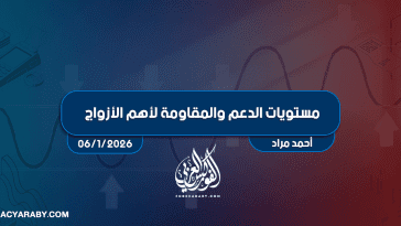 مستويات الدعم و المقاومة اليومية لأهم الأزواج | 6 يناير 2025