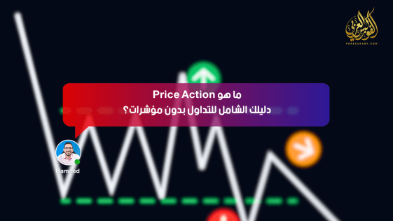 ما هو Price Action؟ دليلك الشامل للتداول بدون مؤشرات