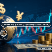 كيف تتحرك الأسعار في الفوركس؟ ولماذا ترتفع وتهبط العملات؟