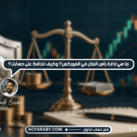 ما هي إدارة رأس المال في الفوركس؟ وكيف تحافظ على حسابك؟