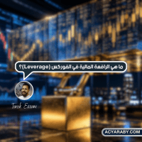 ما هي الرافعة المالية في الفوركس (Leverage)؟ وكيف تعمل؟