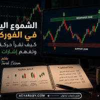الشموع اليابانية في الفوركس: كيف تقرأ حركة السعر وتفهم إشارات السوق؟