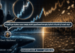 كيف تعرف أن التحركات الحالية يقودها المستثمرون وليست مضاربة من الأفراد؟