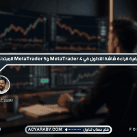 كيفية قراءة شاشة التداول في MetaTrader 4 وMetaTrader 5 للمبتدئين