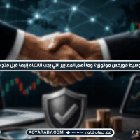 كيفية اختيار وسيط فوركس موثوق؟ وما أهم المعايير التي يجب الانتباه إليها قبل فتح حساب تداول؟