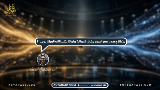 من الذي يحدد سعر اليورو مقابل الدولار؟ ولماذا يتغير آلاف المرات يوميًا؟