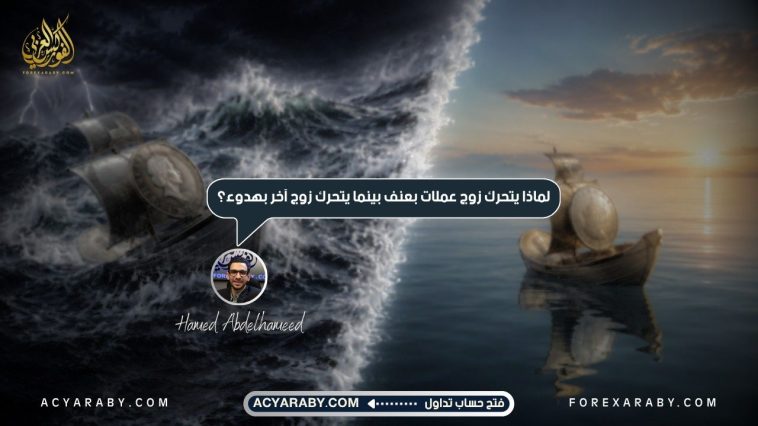 لماذا يتحرك زوج عملات بعنف بينما يتحرك زوج آخر بهدوء؟