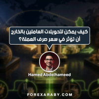 كيف يمكن لتحويلات العاملين بالخارج أن تؤثر في سعر صرف العملة؟
