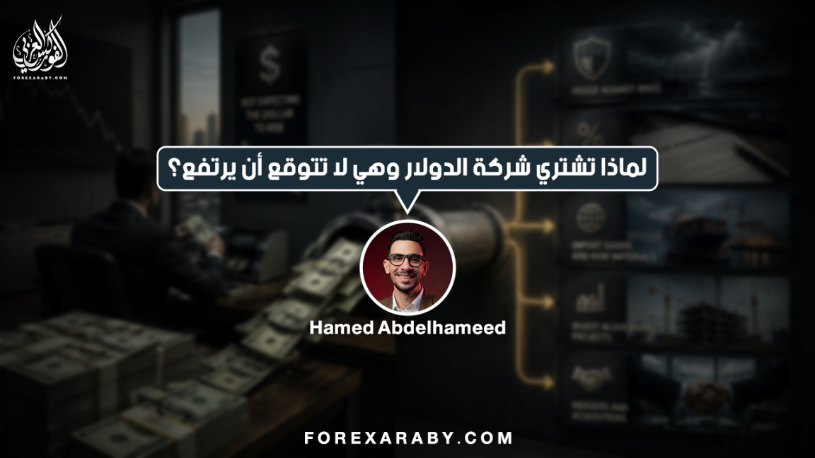 لماذا تشتري شركة الدولار وهي لا تتوقع أن يرتفع مره اخرى؟