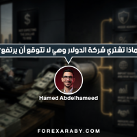 لماذا تشتري شركة الدولار وهي لا تتوقع أن يرتفع مره اخرى؟