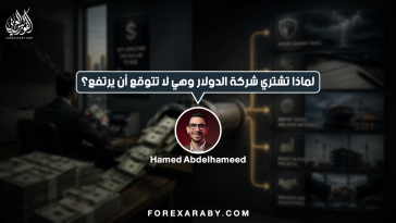 لماذا تشتري شركة الدولار وهي لا تتوقع أن يرتفع مره اخرى؟