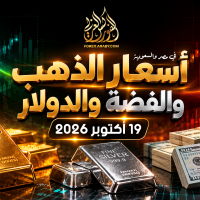 أسعار الذهب والدولار والفضة في مصر والسعودية 19 أكتوبر 2026