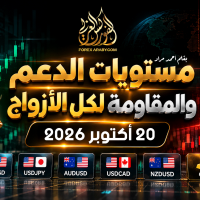 مستويات الدعم و المقاومة اليومية لأهم الأزواج | 20 أكتوبر 2026