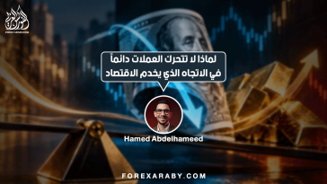 لماذا لا تتحرك العملات دائمًا في الاتجاه الذي يخدم الاقتصاد